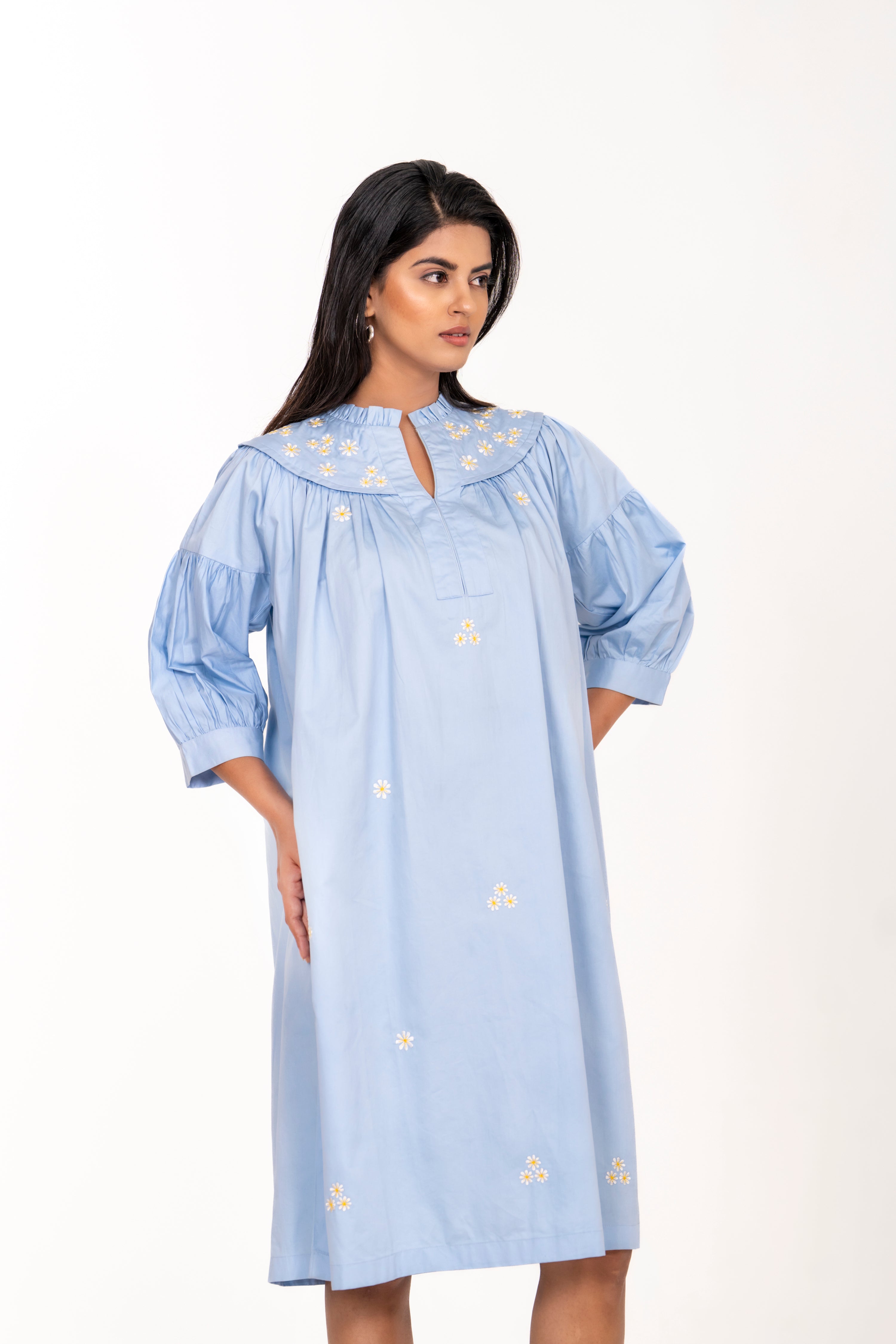SKY BLUE EMBROIDERED DRESS WITH FLORAL DETAILING AND PUFFED SLEEVES.
